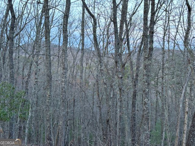 2372 Humphrey Mill Road, Mineral Bluff, GA 30559