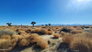 0 Vicinity Avenue L2 & 77th East, Palmdale, CA 93535