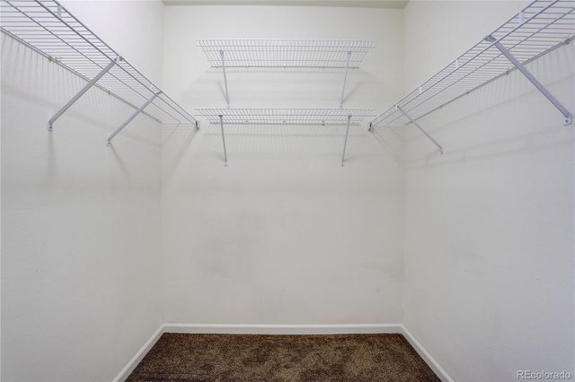 3727 Cactus Creek Court 103, Highlands Ranch, CO 80126