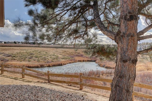 3727 Cactus Creek Court 103, Highlands Ranch, CO 80126