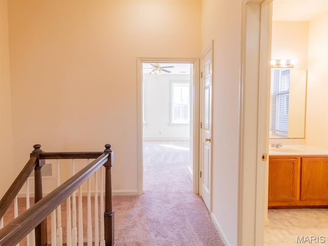 915 Ann Avenue, St Louis, MO 63104