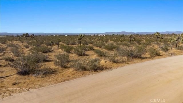 1 Nevada, Phelan, CA 92371
