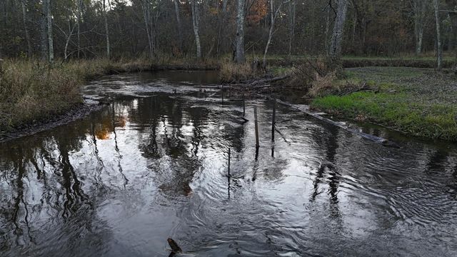 5680 E Shores Drive, Freesoil Twp, MI 49411