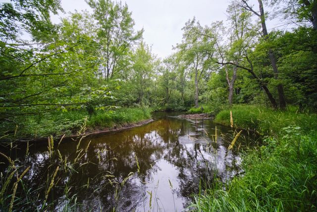 5680 E Shores Drive, Freesoil Twp, MI 49411