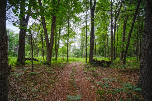 5680 E Shores Drive, Freesoil Twp, MI 49411