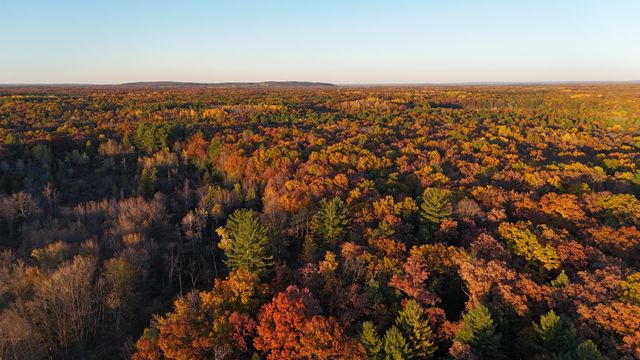 5680 E Shores Drive, Freesoil Twp, MI 49411