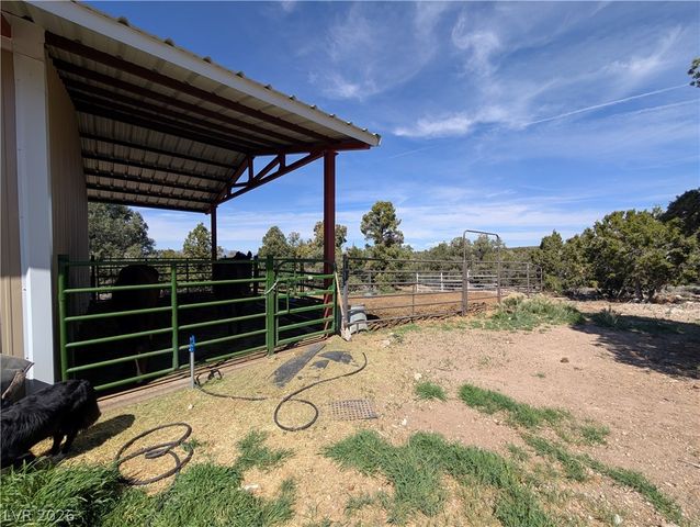 1281 Meadow Lane, Pioche, NV 89043