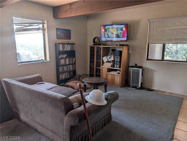 1281 Meadow Lane, Pioche, NV 89043