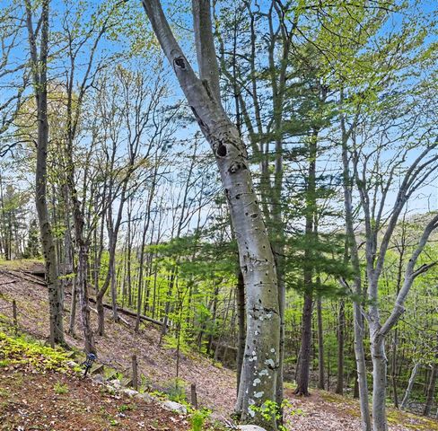 1890 Dillingham Drive, Allegan, MI 49010