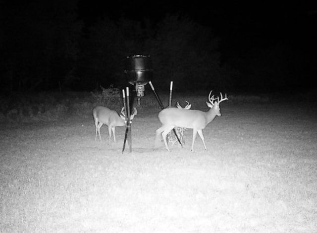 1408 FM 3119, Mexia, TX 76667