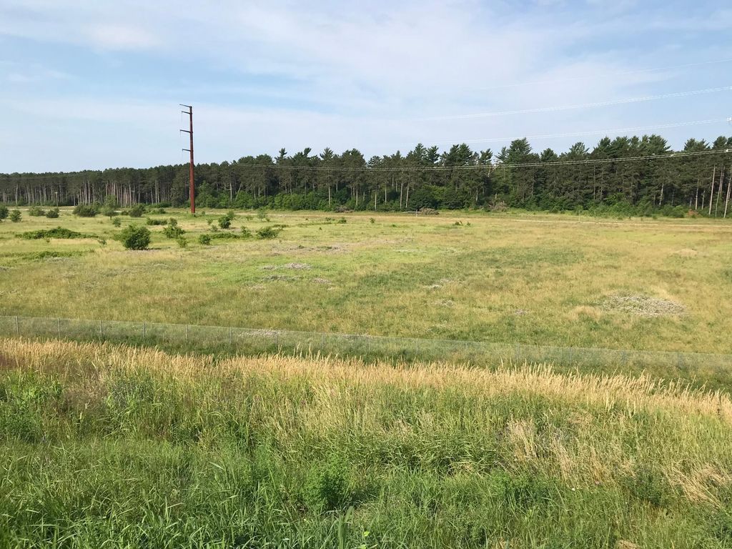 xxx 63rd Avenue, Cannon Falls, MN 55009 — photo 4