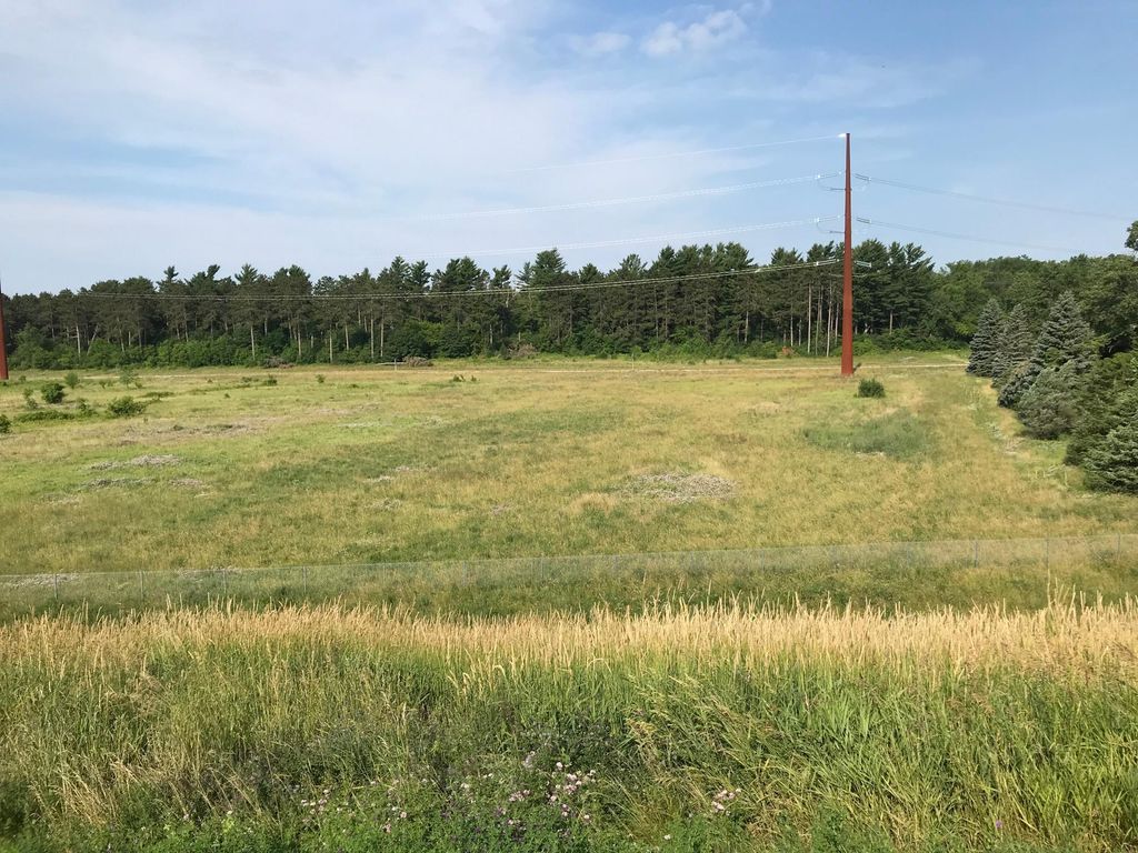 xxx 63rd Avenue, Cannon Falls, MN 55009 — photo 5