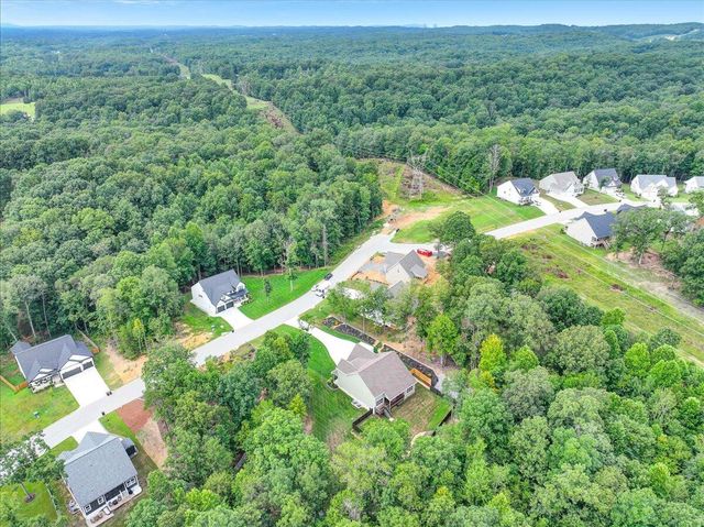 11785 Maddox Drive, Georgetown, TN 37336