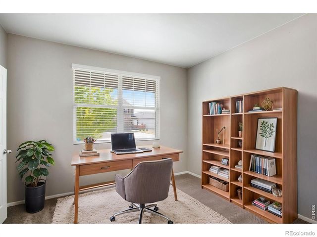 912 Charlton Drive, Windsor, CO 80550