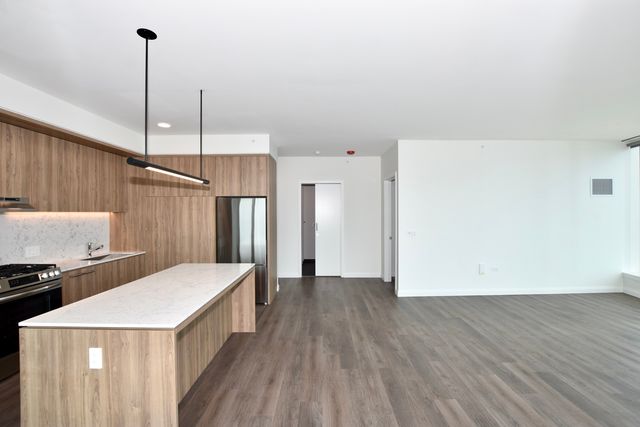 1000 S Michigan Avenue 6705, Chicago, IL 60605