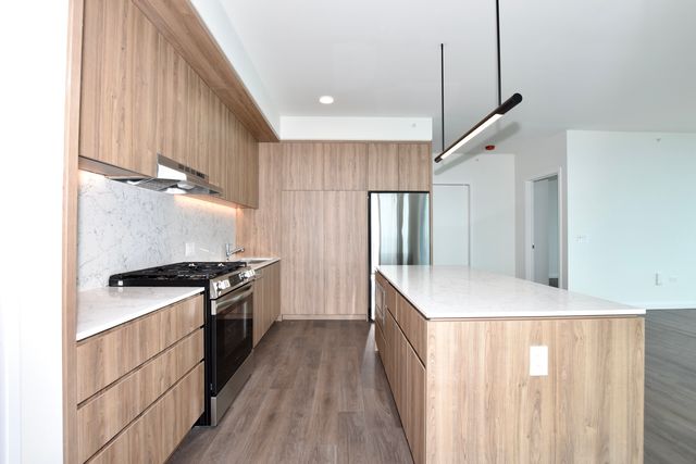 1000 S Michigan Avenue 6705, Chicago, IL 60605