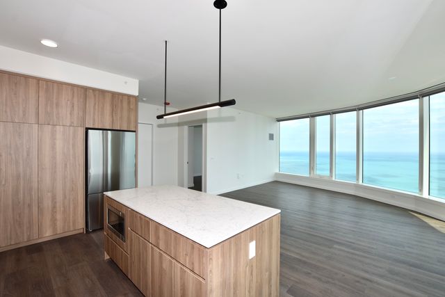 1000 S Michigan Avenue 6705, Chicago, IL 60605