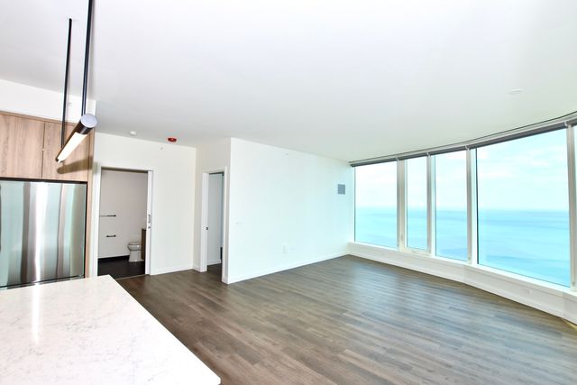 1000 S Michigan Avenue 6705, Chicago, IL 60605