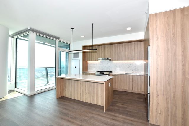 1000 S Michigan Avenue 6705, Chicago, IL 60605
