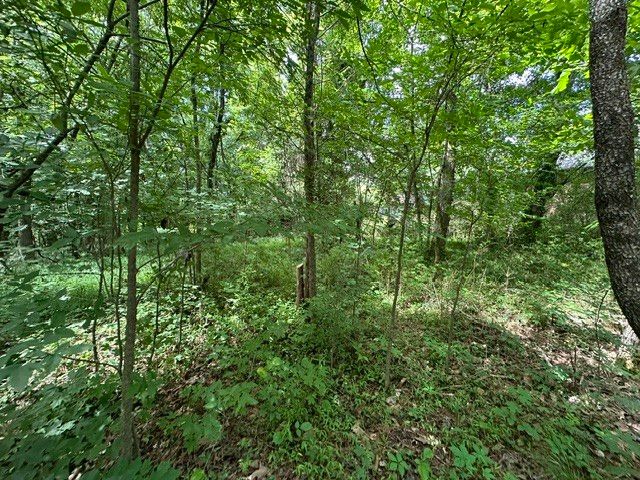 0 Stigall St, Camden, TN 38320