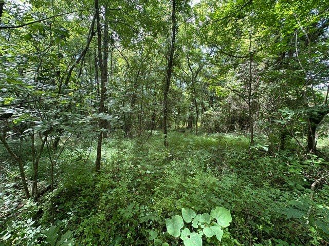0 Stigall St, Camden, TN 38320