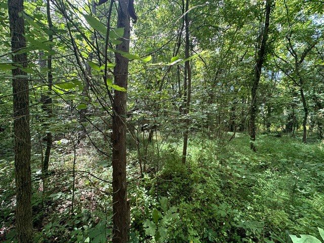 0 Stigall St, Camden, TN 38320