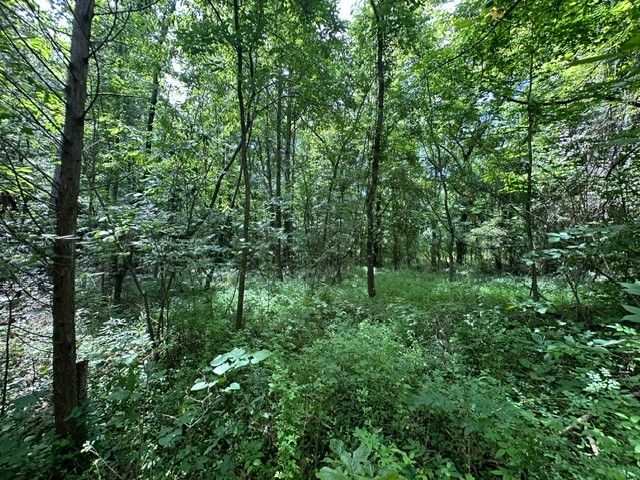0 Stigall St, Camden, TN 38320
