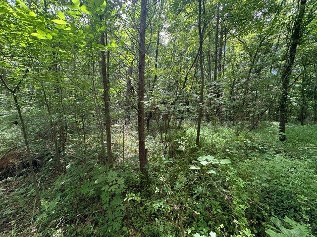 0 Stigall St, Camden, TN 38320
