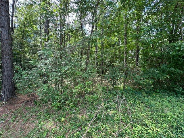 0 Stigall St, Camden, TN 38320