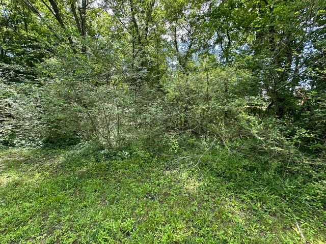 0 Stigall St, Camden, TN 38320