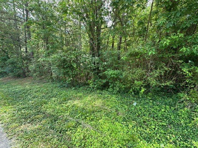 0 Stigall St, Camden, TN 38320