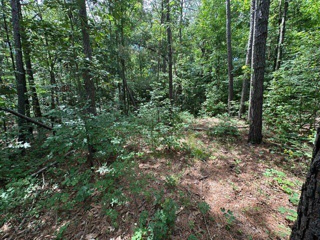 0 Stigall St, Camden, TN 38320