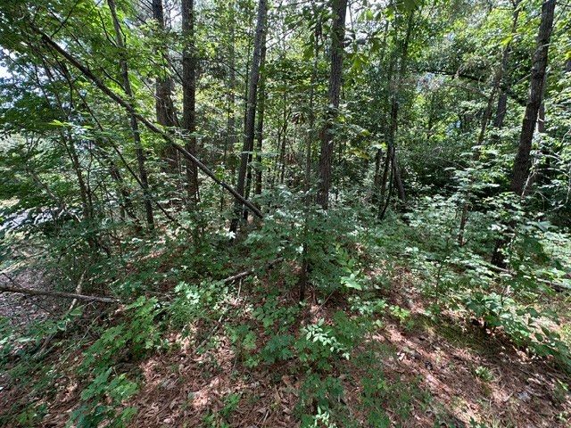 0 Stigall St, Camden, TN 38320
