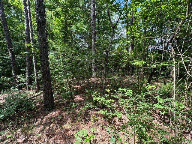 0 Stigall St, Camden, TN 38320