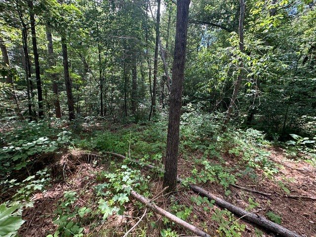 0 Stigall St, Camden, TN 38320