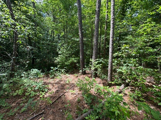 0 Stigall St, Camden, TN 38320