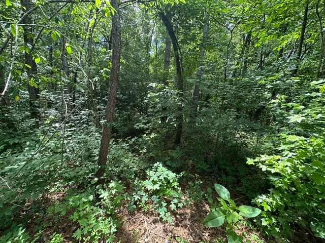 0 Stigall St, Camden, TN 38320