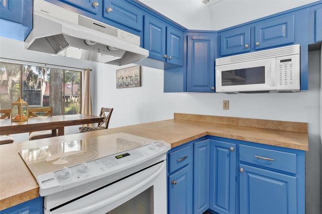 401 CLUSTERWOOD DRIVE, Yalaha, FL 34797