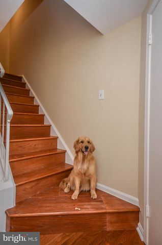 8711 RAVENGLASS WAY, Montgomery Village, MD 20886