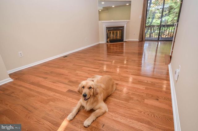 8711 RAVENGLASS WAY, Montgomery Village, MD 20886