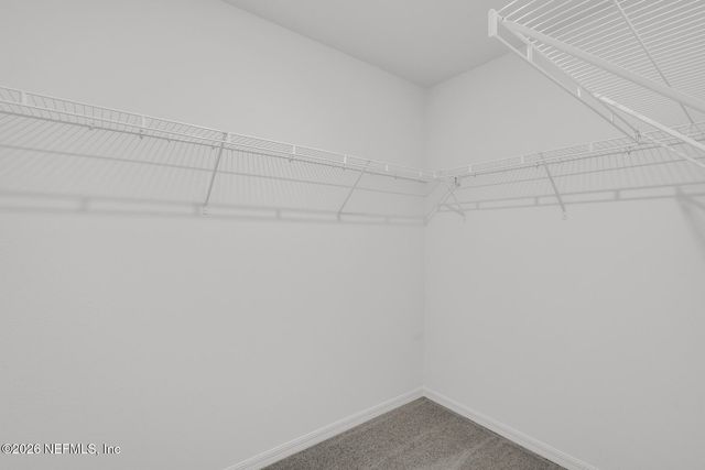 3107 COTTAGE HILL Place, Green Cove Springs, FL 32043