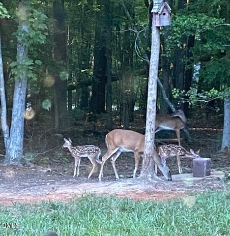 111 Nashua Drive, Louisburg, NC 27549