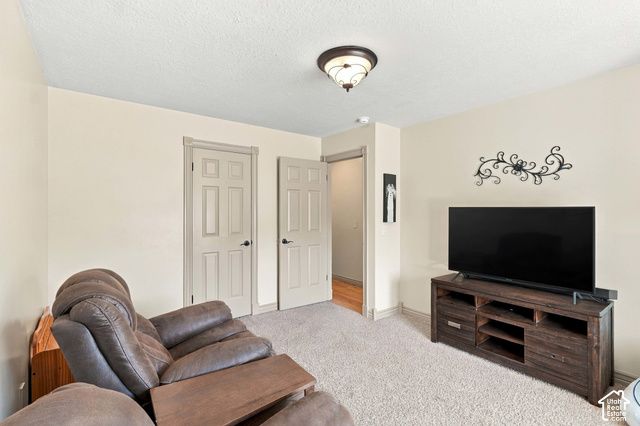 14138 S PHEASANT HOLLOW LN, Bluffdale, UT 84065