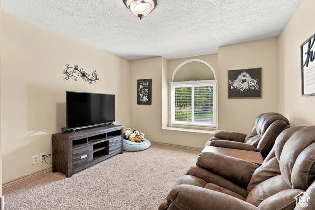 14138 S PHEASANT HOLLOW LN, Bluffdale, UT 84065