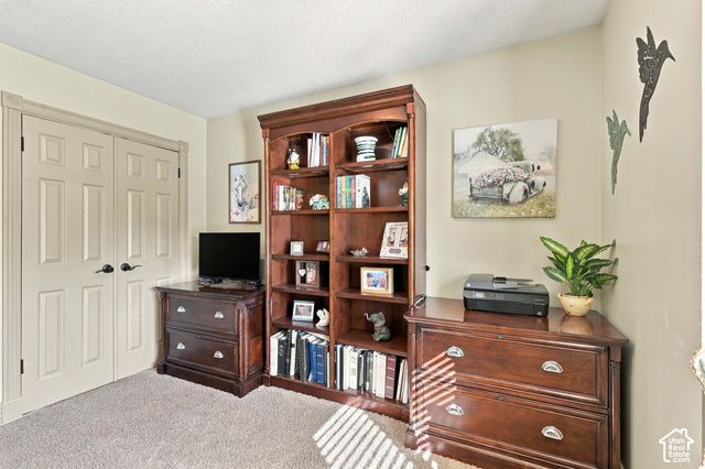 14138 S PHEASANT HOLLOW LN, Bluffdale, UT 84065