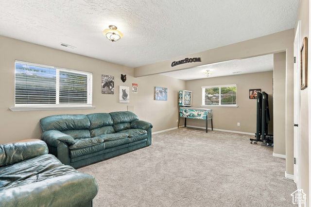 14138 S PHEASANT HOLLOW LN, Bluffdale, UT 84065