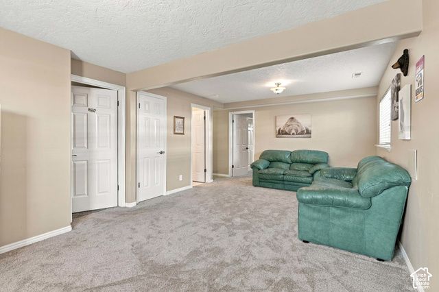 14138 S PHEASANT HOLLOW LN, Bluffdale, UT 84065