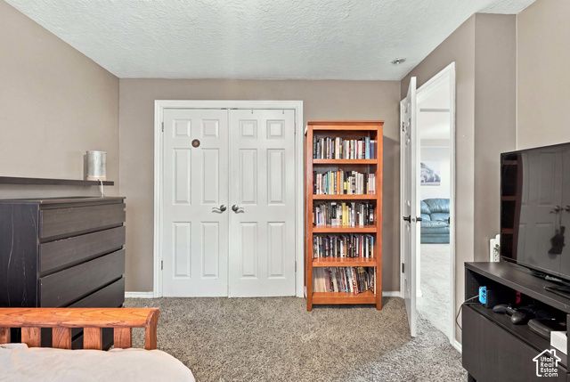 14138 S PHEASANT HOLLOW LN, Bluffdale, UT 84065