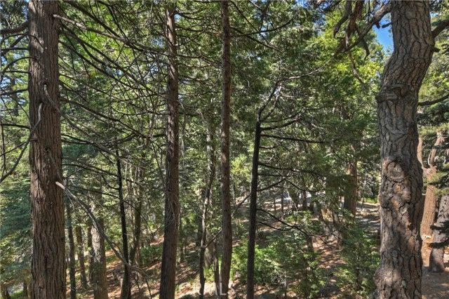 788 Buckingham Square, Lake Arrowhead, CA 92352