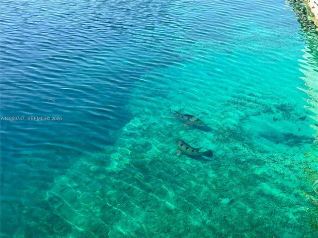 7002 Holly Rd, Miami Lakes, FL 33014